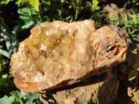 Natural Golden Limonite Quartz Clusters x 2 From Solwezi, Zambia - Toprock Gemstones and Minerals 