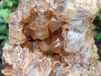Natural Golden Limonite Quartz Clusters x 2 From Solwezi, Zambia - Toprock Gemstones and Minerals 