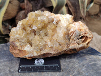Natural Golden Limonite Quartz Clusters x 2 From Solwezi, Zambia - Toprock Gemstones and Minerals 