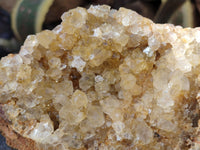 Natural Golden Limonite Quartz Clusters x 2 From Solwezi, Zambia - Toprock Gemstones and Minerals 