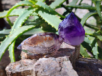 Polished Mix Of Selected Points x 12 From Madagascar - Toprock Gemstones and Minerals 