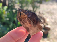 Polished Mix Of Selected Points x 12 From Madagascar - Toprock Gemstones and Minerals 