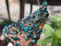 Natural Dioptase on Dolomite Matrix Specimens x 2 From Likasi, Congo