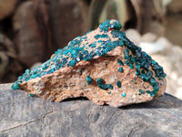 Natural Dioptase on Dolomite Matrix Specimens x 2 From Likasi, Congo