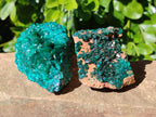 Natural Dioptase on Dolomite Matrix Specimens x 2 From Likasi, Congo - Toprock Gemstones and Minerals 