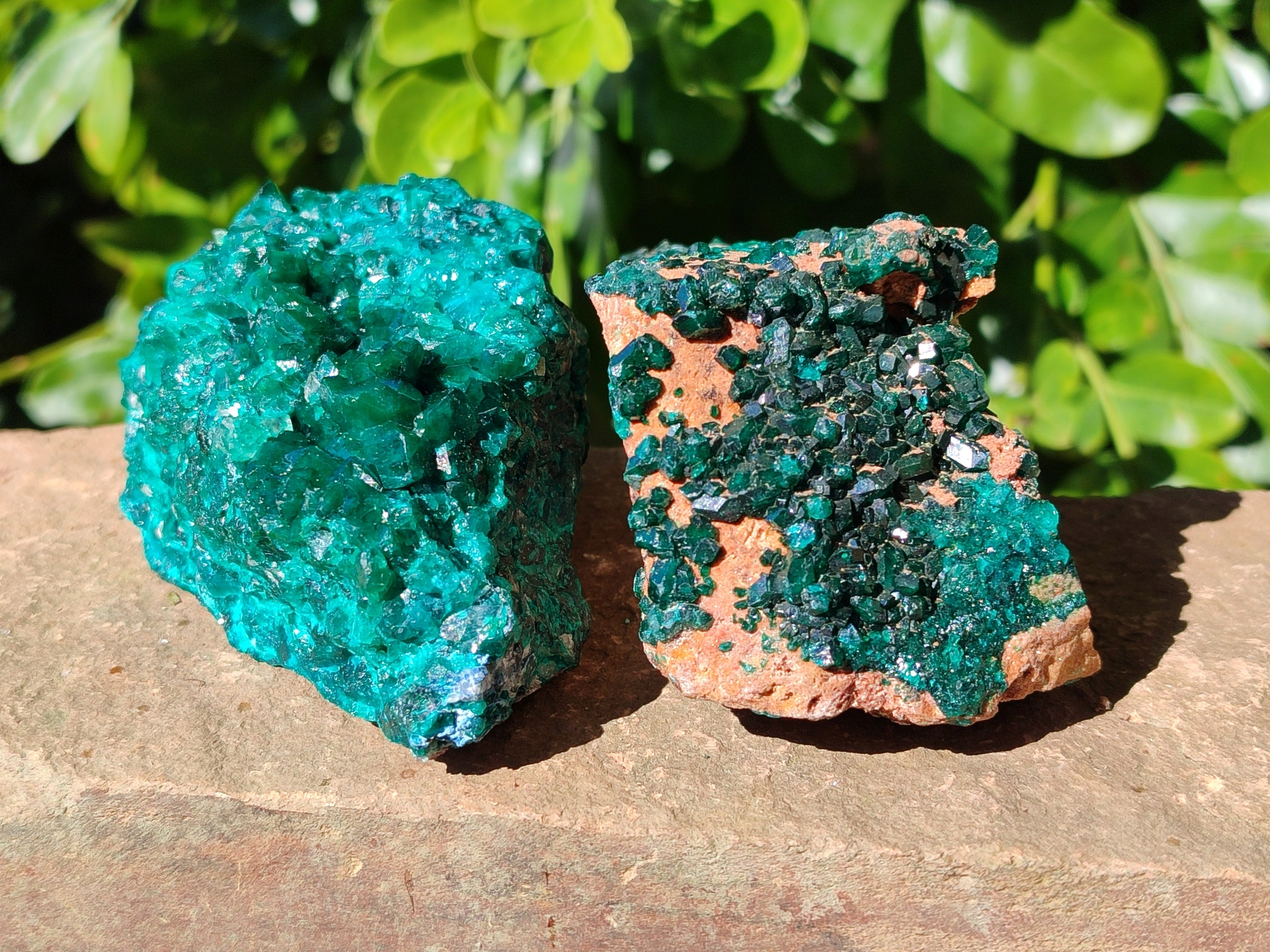 Natural Dioptase on Dolomite Matrix Specimens x 2 From Likasi, Congo - Toprock Gemstones and Minerals 