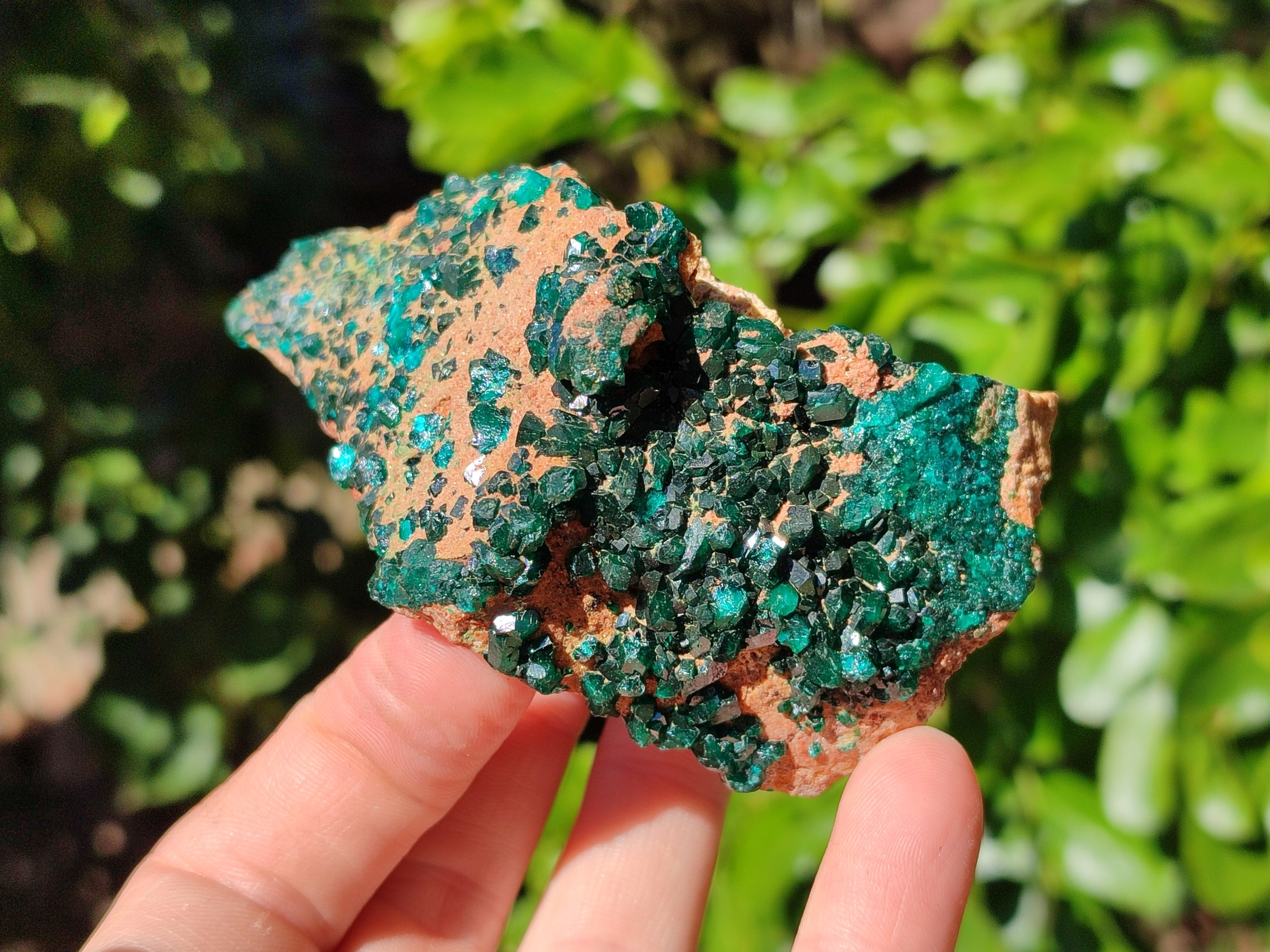 Natural Dioptase on Dolomite Matrix Specimens x 2 From Likasi, Congo - Toprock Gemstones and Minerals 