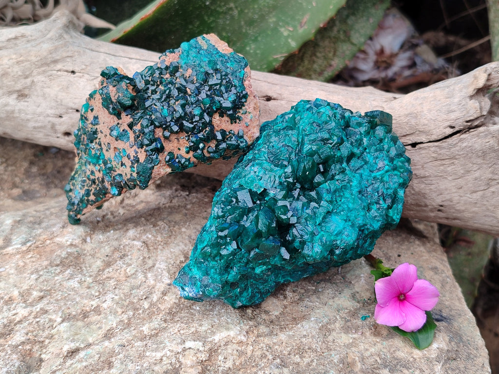 Natural Dioptase on Dolomite Matrix Specimens x 2 From Likasi, Congo - Toprock Gemstones and Minerals 