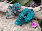 Natural Dioptase on Dolomite Matrix Specimens x 2 From Likasi, Congo - Toprock Gemstones and Minerals 