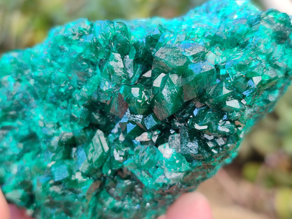 Natural Dioptase on Dolomite Matrix Specimens x 2 From Likasi, Congo