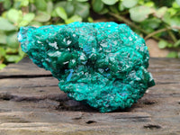 Natural Dioptase on Dolomite Matrix Specimens x 2 From Likasi, Congo
