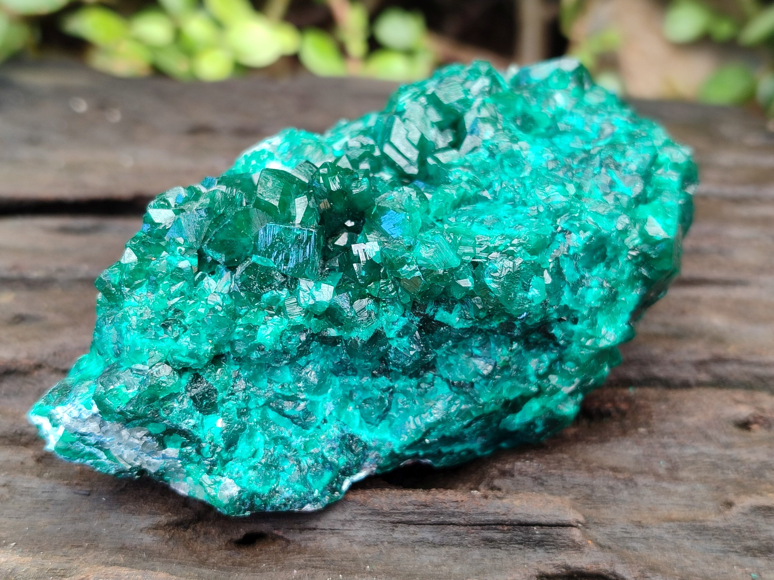 Natural Dioptase on Dolomite Matrix Specimens x 2 From Likasi, Congo - Toprock Gemstones and Minerals 