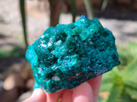 Natural Dioptase on Dolomite Matrix Specimens x 2 From Likasi, Congo