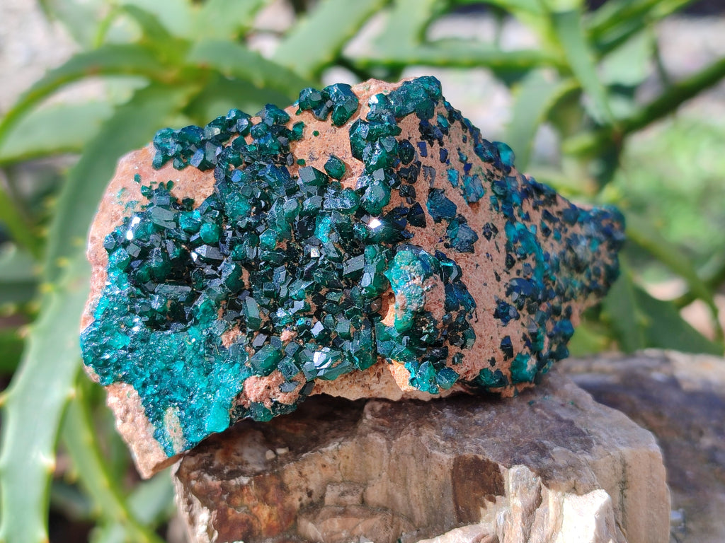 Natural Dioptase on Dolomite Matrix Specimens x 2 From Likasi, Congo - Toprock Gemstones and Minerals 