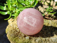 Polished Star Rose Quartz Spheres x 2 From Ambatondrazaka, Madagascar - Toprock Gemstones and Minerals 