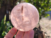 Polished Star Rose Quartz Spheres x 2 From Ambatondrazaka, Madagascar - Toprock Gemstones and Minerals 