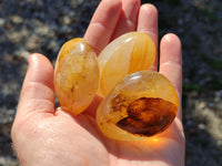 Polished Golden Healer Quartz Palm Stones x 20 From Madagascar