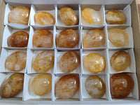 Polished Golden Healer Quartz Palm Stones x 20 From Madagascar