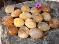 Polished Golden Healer Quartz Palm Stones x 20 From Madagascar