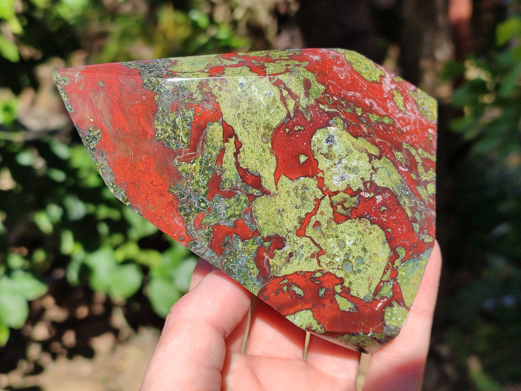 Polished Bastite Dragons Blood Stone Points x 2 From Tshipise, South Africa - Toprock Gemstones and Minerals 