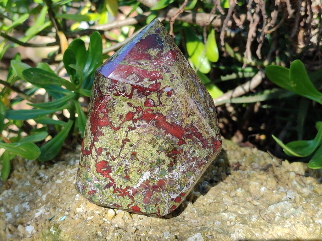 Polished Bastite Dragons Blood Stone Points x 2 From Tshipise, South Africa - Toprock Gemstones and Minerals 