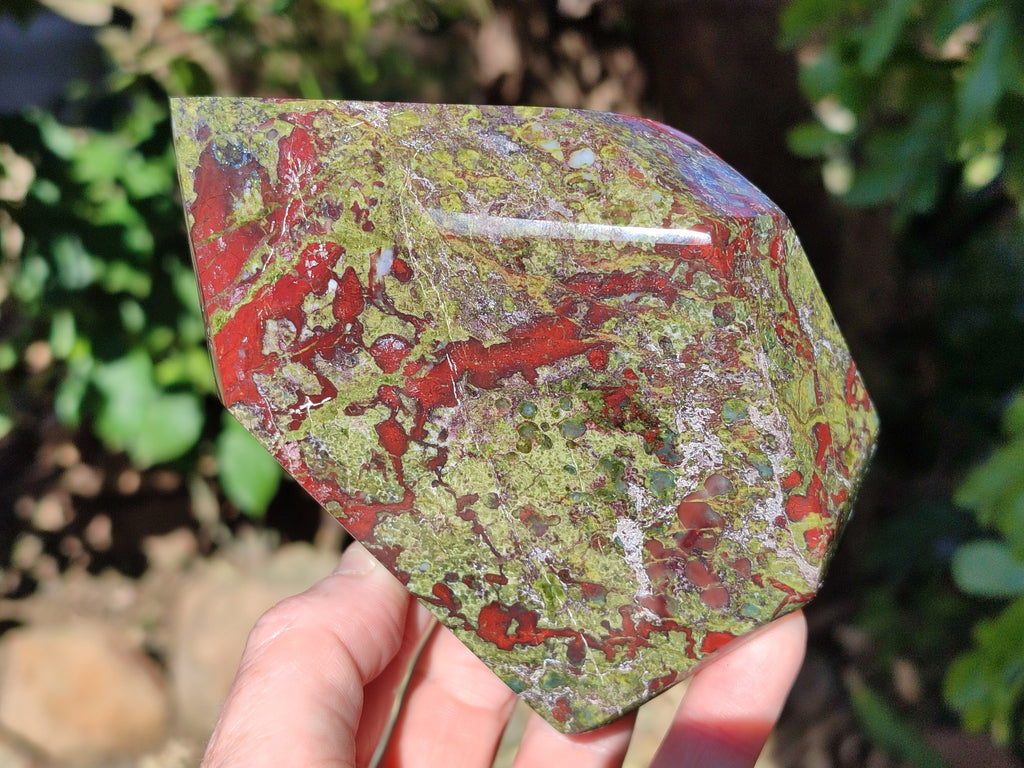 Polished Bastite Dragons Blood Stone Points x 2 From Tshipise, South Africa - Toprock Gemstones and Minerals 