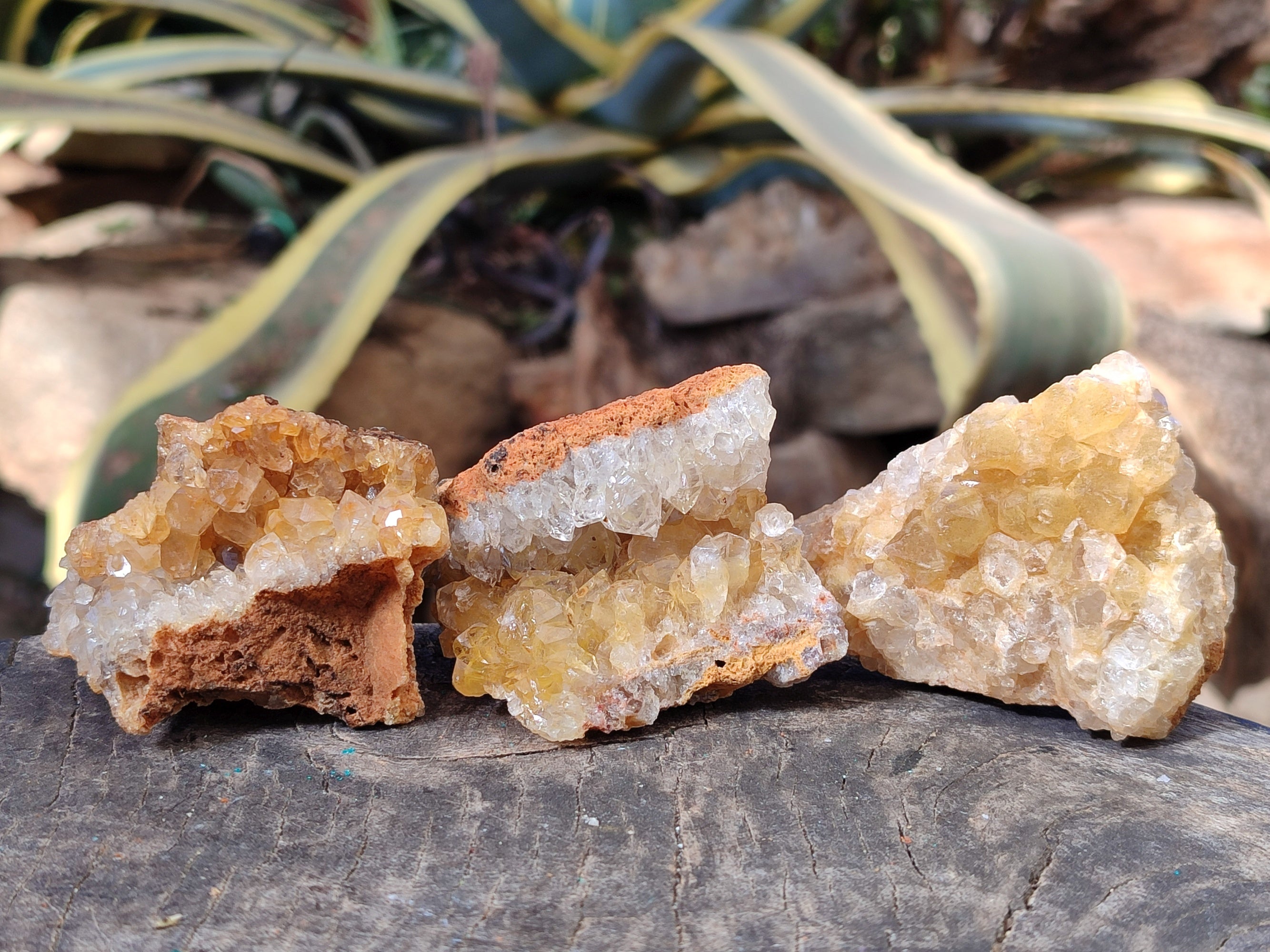 Natural Limonite Quartz Clusters x 24 From Solwezi, Zambia - Toprock Gemstones and Minerals 