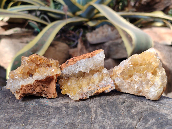 Natural Limonite Quartz Clusters x 24 From Solwezi, Zambia