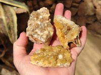 Natural Limonite Quartz Clusters x 24 From Solwezi, Zambia - Toprock Gemstones and Minerals 