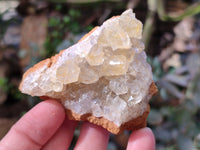 Natural Limonite Quartz Clusters x 24 From Solwezi, Zambia - Toprock Gemstones and Minerals 