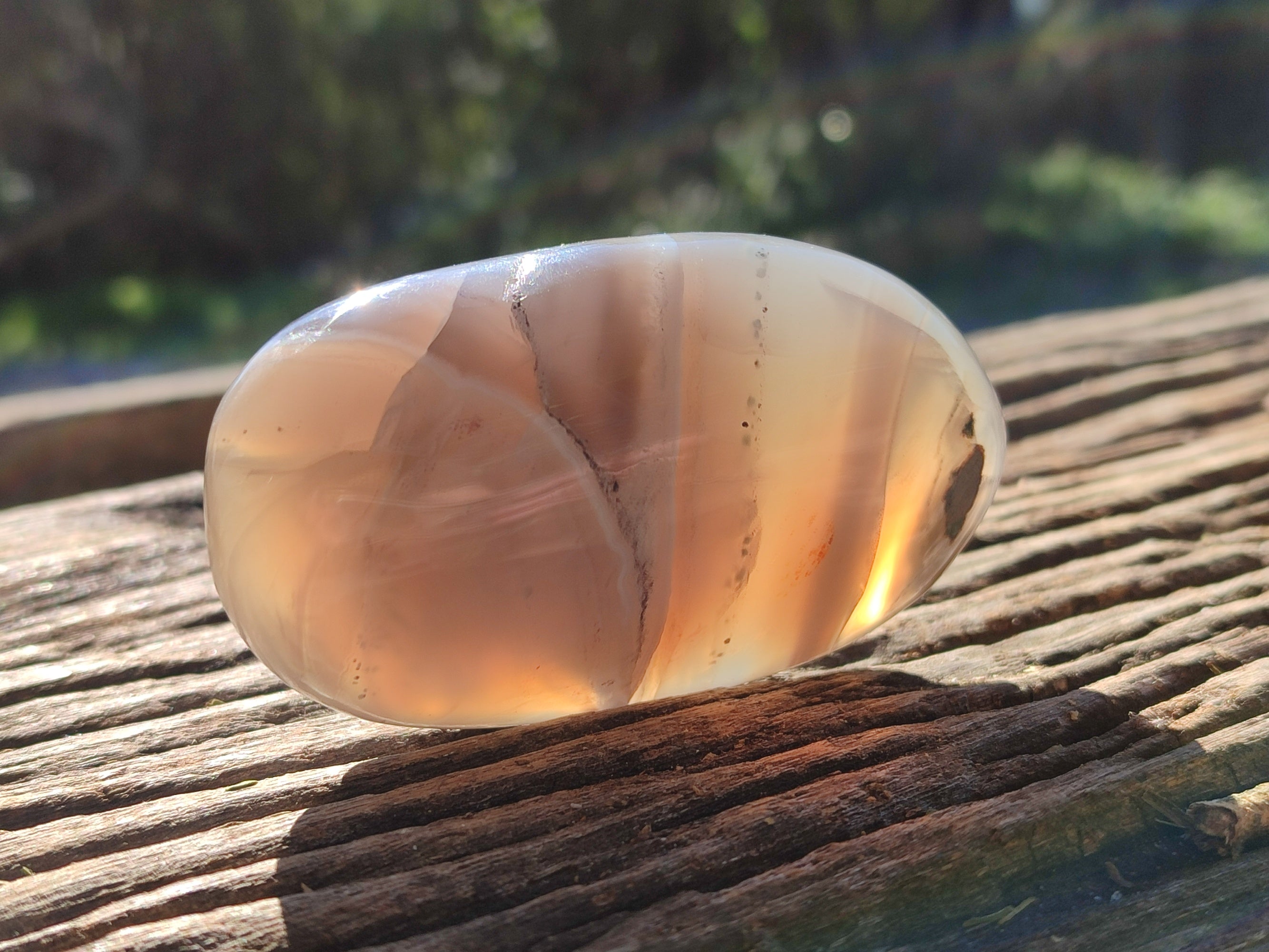 Polished Red Sashe River Agate Palm Stones x 6 From Zimbabwe - Toprock Gemstones and Minerals 
