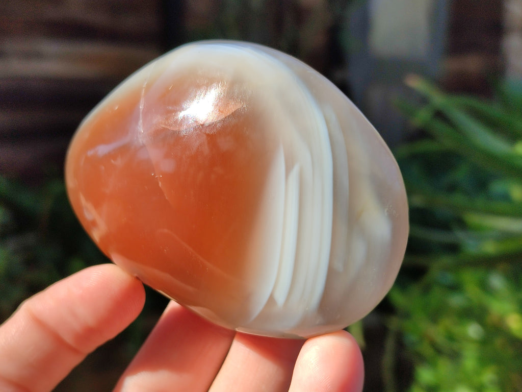 Polished Red Sashe River Agate Palm Stones x 6 From Zimbabwe - Toprock Gemstones and Minerals 