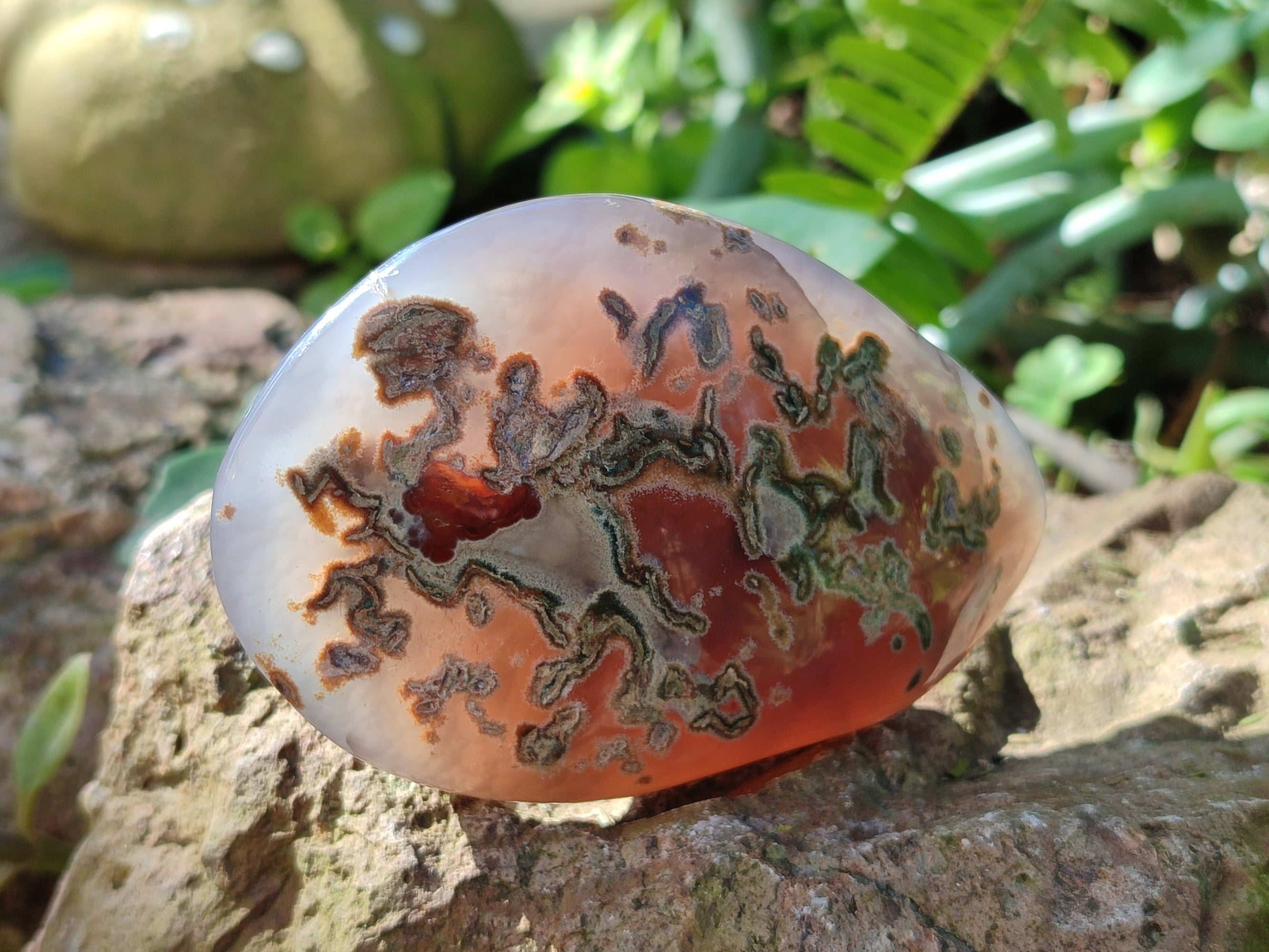 Polished Red Sashe River Agate Palm Stones x 6 From Zimbabwe - Toprock Gemstones and Minerals 