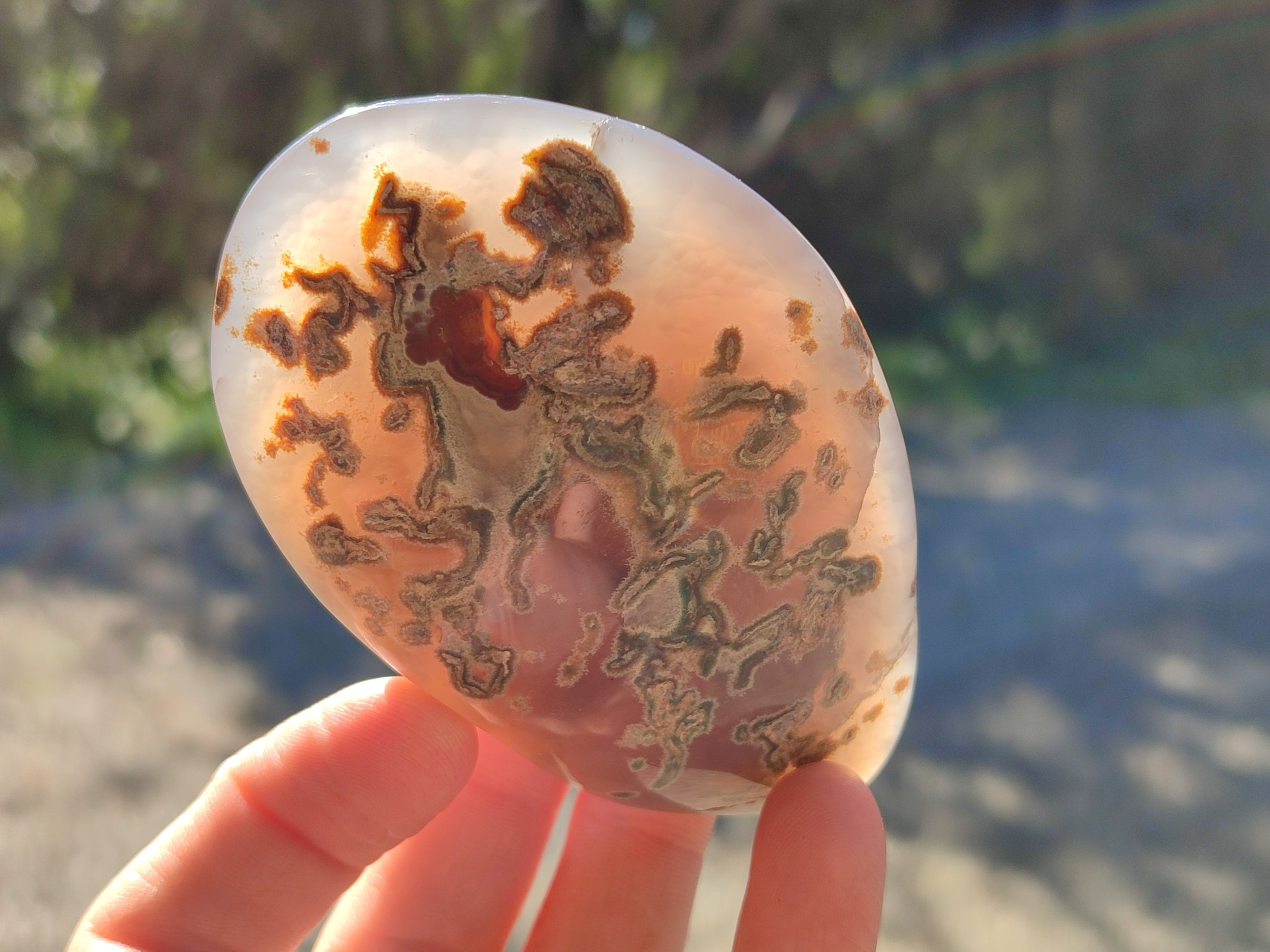 Polished Red Sashe River Agate Palm Stones x 6 From Zimbabwe - Toprock Gemstones and Minerals 