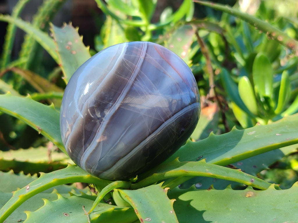 Polished Red Sashe River Agate Palm Stones x 6 From Zimbabwe - Toprock Gemstones and Minerals 