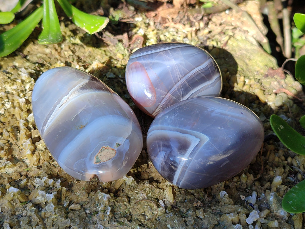 Polished Red Sashe River Agate Palm Stones x 6 From Zimbabwe - Toprock Gemstones and Minerals 