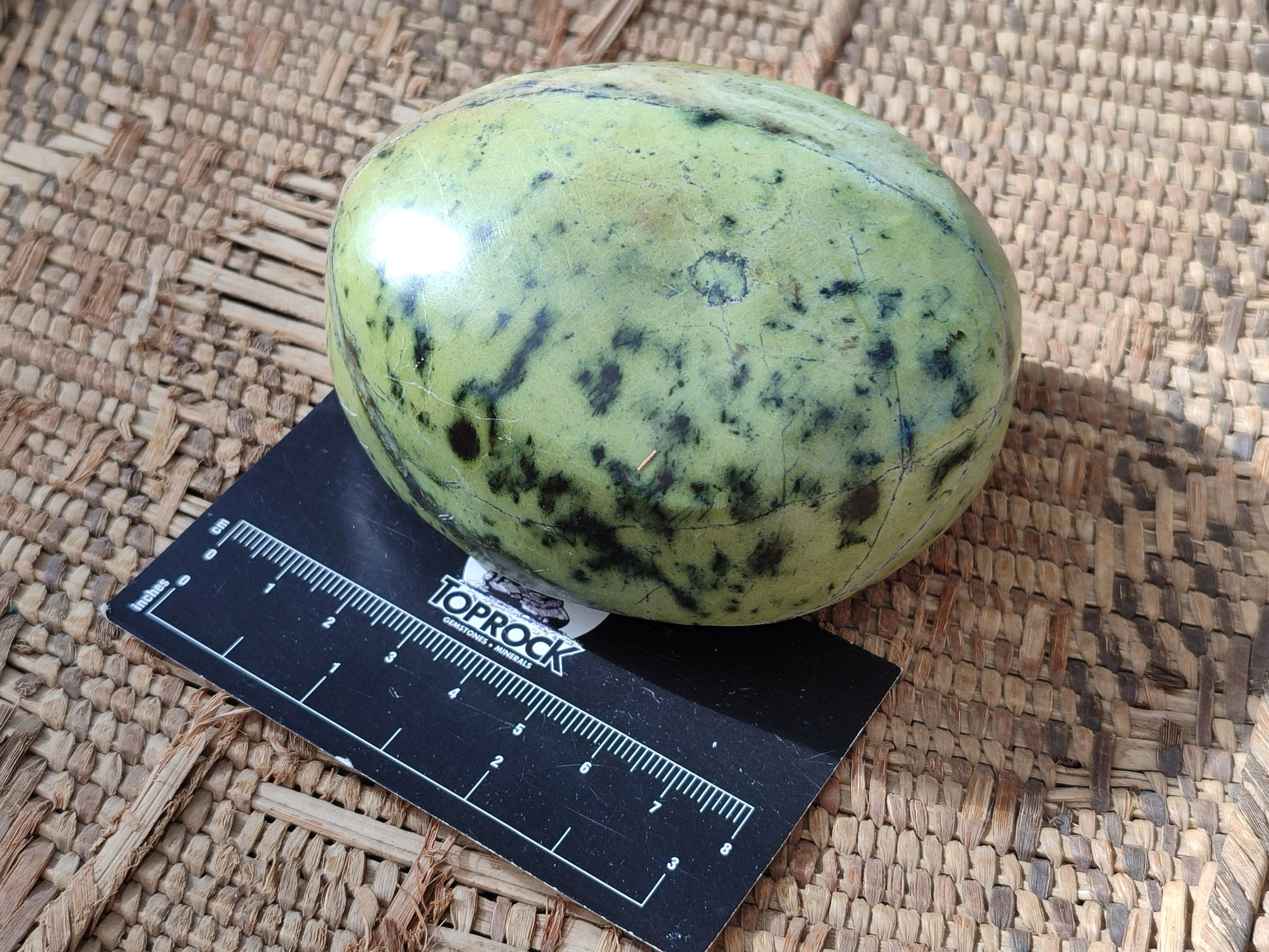 Polished Leopard Stone Standing Free Forms x 4 From Nyanga, Zimbabwe - Toprock Gemstones and Minerals 