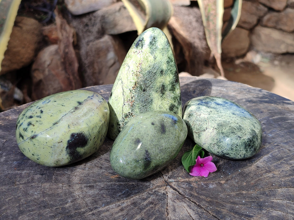 Polished Leopard Stone Standing Free Forms x 4 From Nyanga, Zimbabwe - Toprock Gemstones and Minerals 