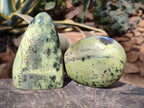 Polished Leopard Stone Standing Free Forms x 4 From Nyanga, Zimbabwe - Toprock Gemstones and Minerals 