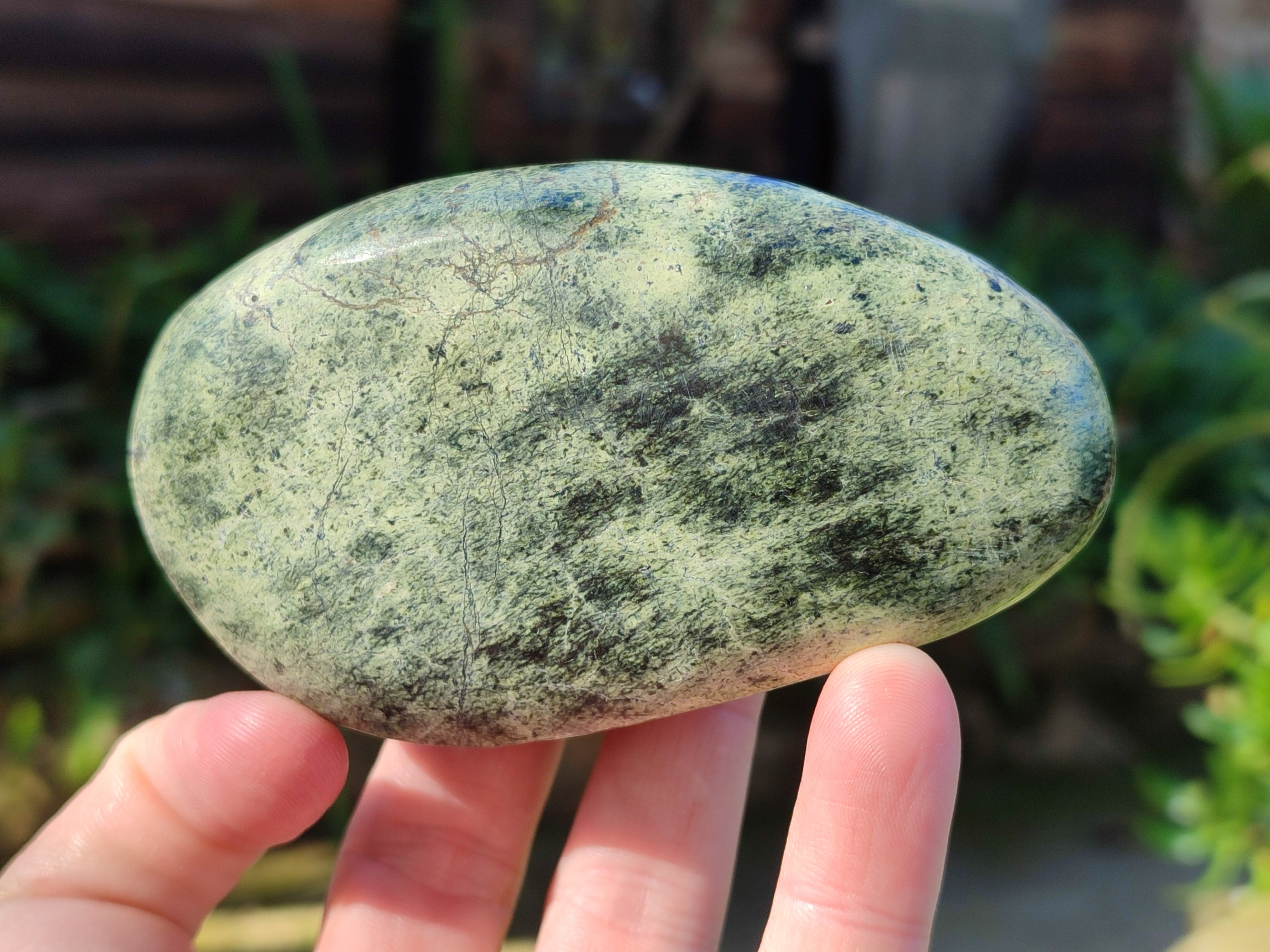Polished Leopard Stone Standing Free Forms x 4 From Nyanga, Zimbabwe - Toprock Gemstones and Minerals 