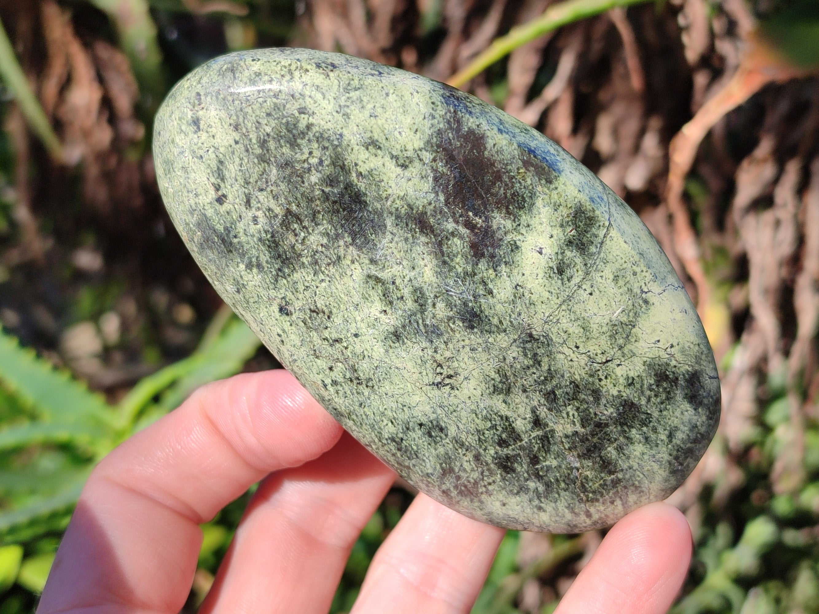 Polished Leopard Stone Standing Free Forms x 4 From Nyanga, Zimbabwe - Toprock Gemstones and Minerals 