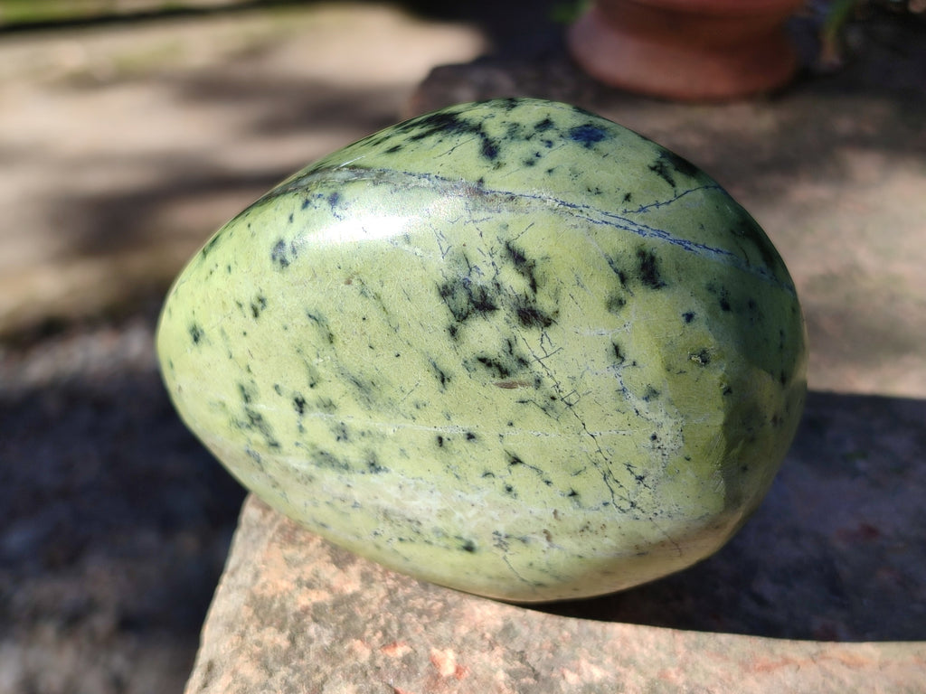 Polished Leopard Stone Standing Free Forms x 4 From Nyanga, Zimbabwe - Toprock Gemstones and Minerals 