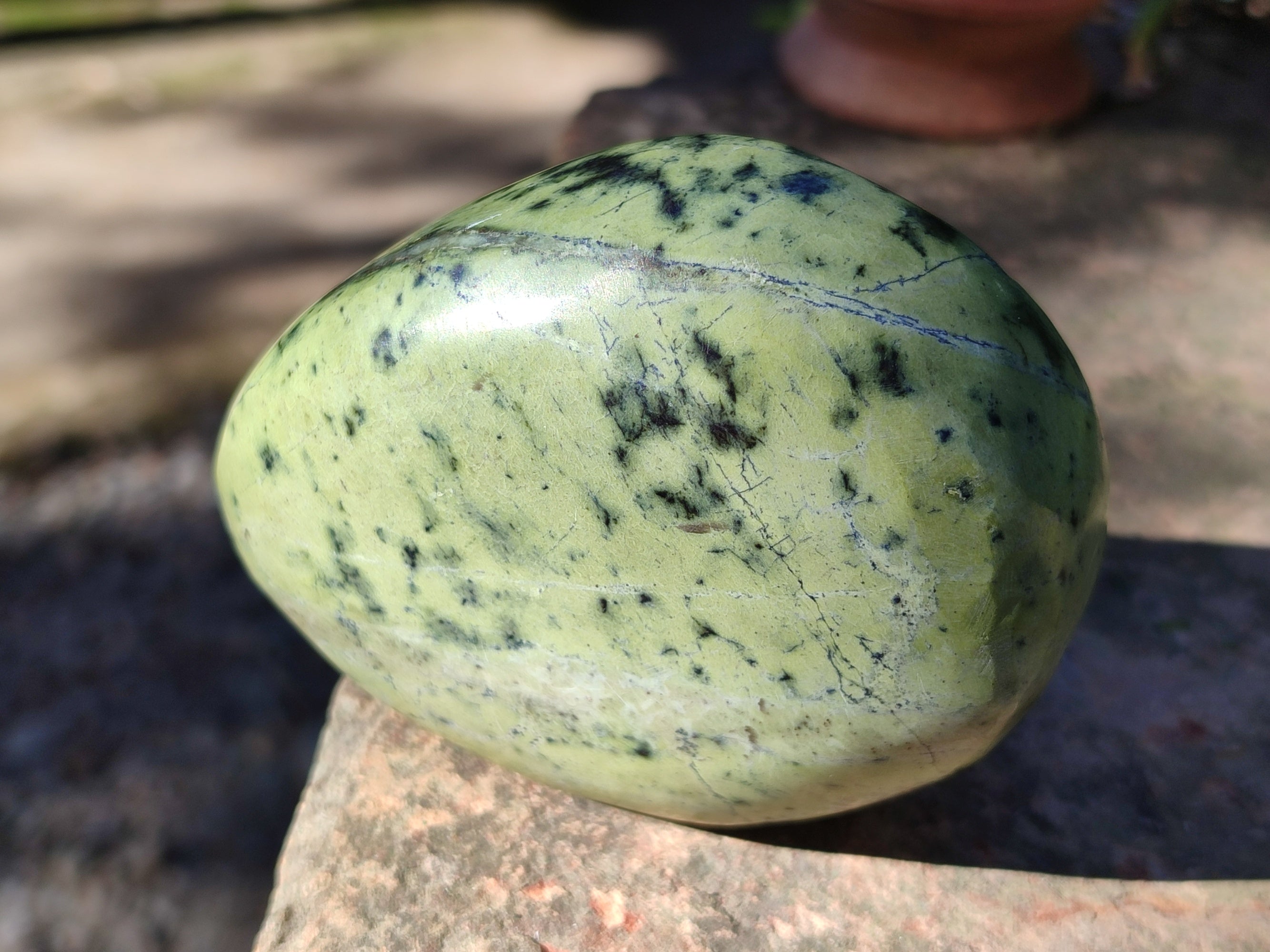 Polished Leopard Stone Standing Free Forms x 4 From Nyanga, Zimbabwe - Toprock Gemstones and Minerals 