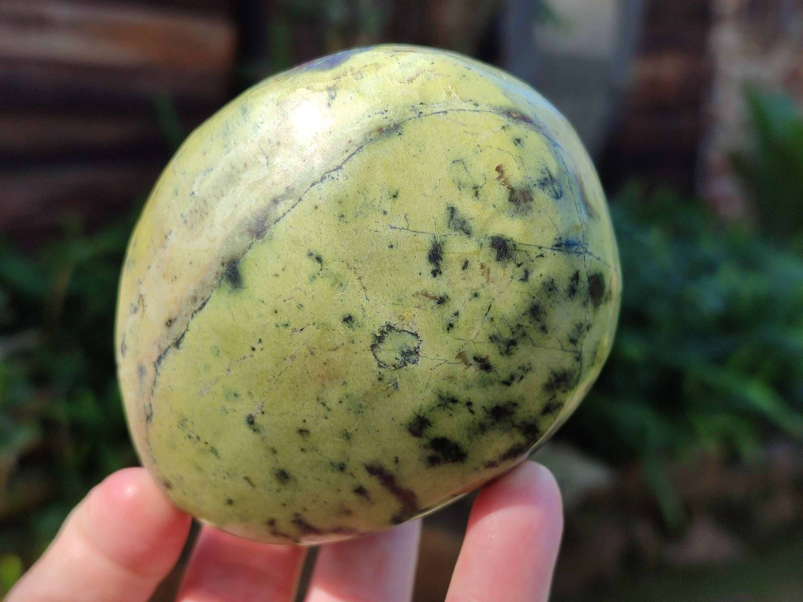Polished Leopard Stone Standing Free Forms x 4 From Nyanga, Zimbabwe - Toprock Gemstones and Minerals 