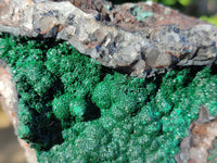 Natural Ball Malachite On Quartz Matrix Specimens x 1 From Mindigi Mine, Congo