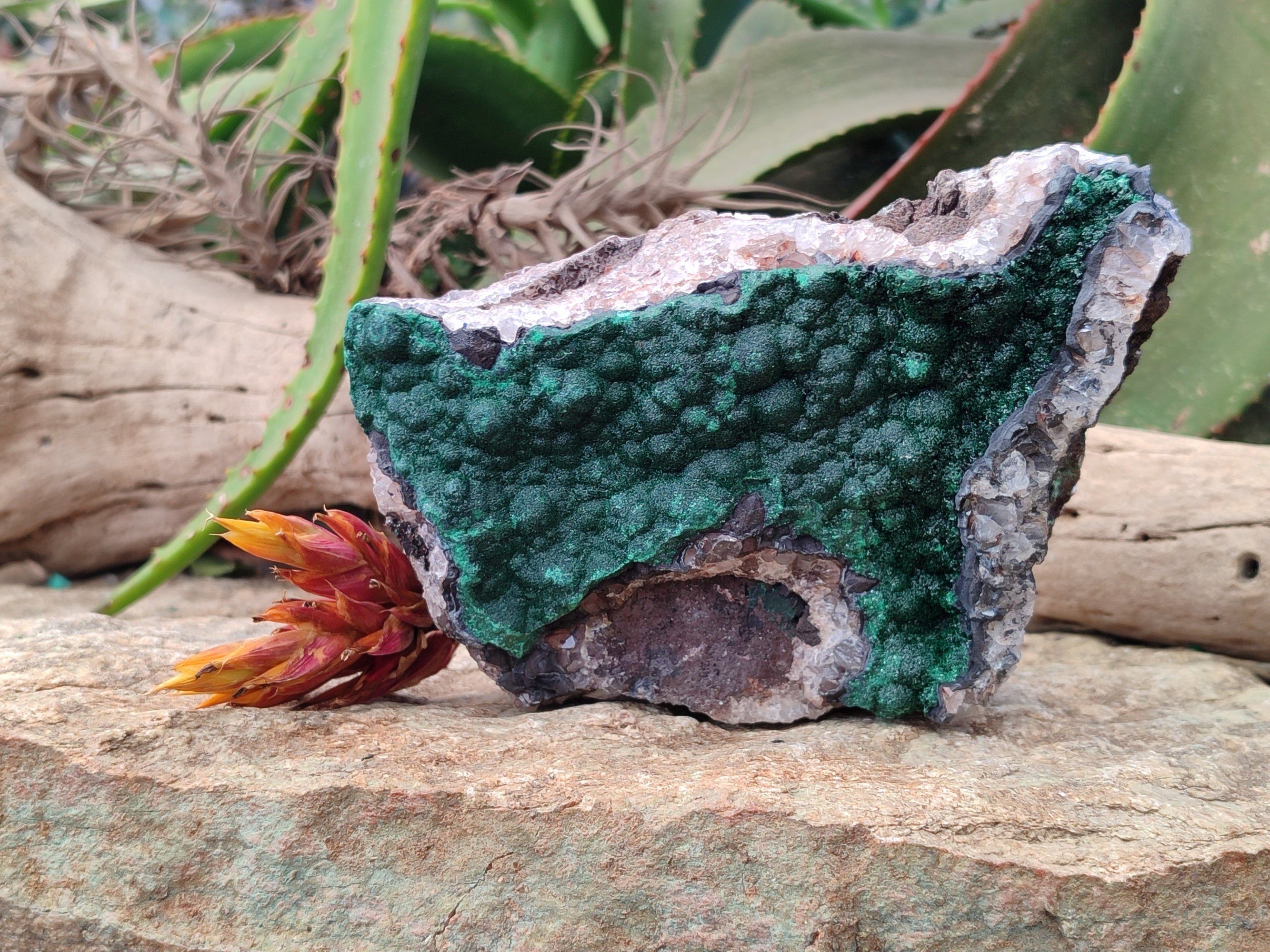 Natural Ball Malachite On Quartz Matrix Specimens x 1 From Mindigi Mine, Congo - Toprock Gemstones and Minerals 