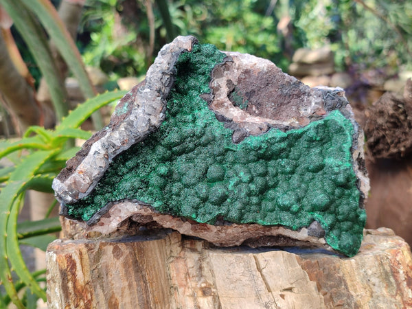 Natural Ball Malachite On Quartz Matrix Specimens x 1 From Mindigi Mine, Congo