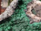 Natural Ball Malachite On Quartz Matrix Specimens x 1 From Mindigi Mine, Congo - Toprock Gemstones and Minerals 