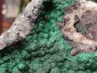 Natural Ball Malachite On Quartz Matrix Specimens x 1 From Mindigi Mine, Congo