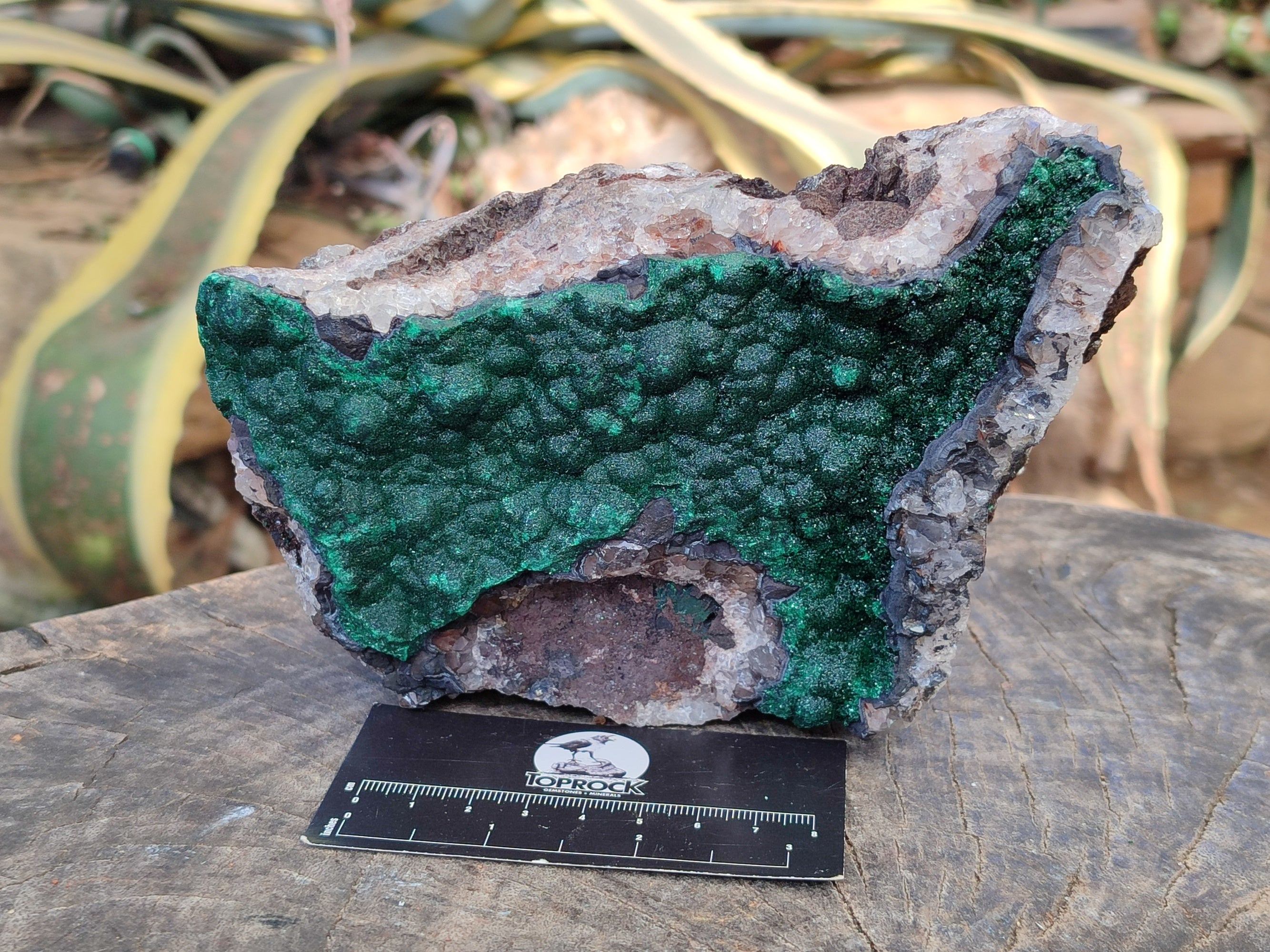 Natural Ball Malachite On Quartz Matrix Specimens x 1 From Mindigi Mine, Congo - Toprock Gemstones and Minerals 